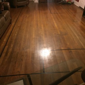 Cabin Floor Plan in Living Room