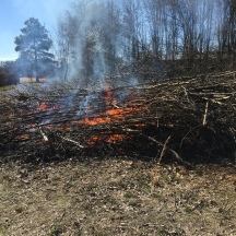 Brush pile burning 2